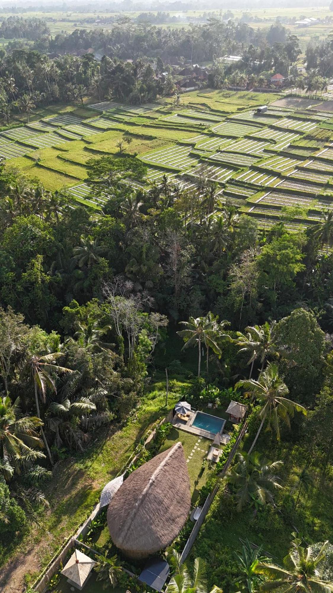 Pitu, A Punggul Village Escape Sangeh Luaran gambar